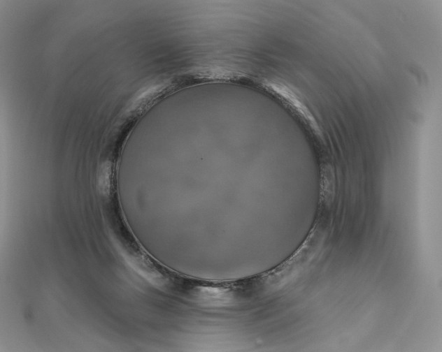 X0000111800167200908061206