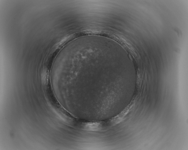 X0000111800168200908061206