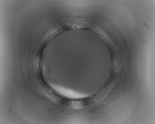 X0000111800169200908061206