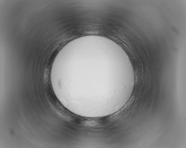 X0000111800171200908061206