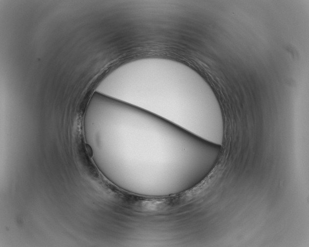 X0000111800172200908061206