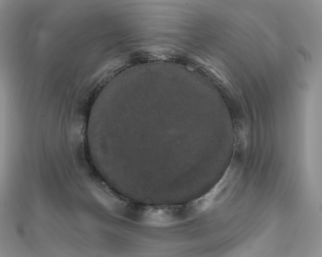 X0000111800174200908061206