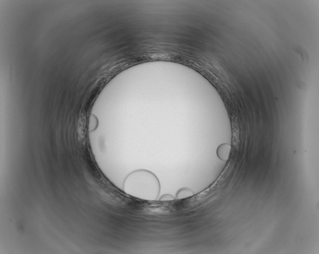 X0000111800175200908061206