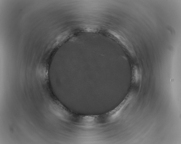 X0000111800176200908061206