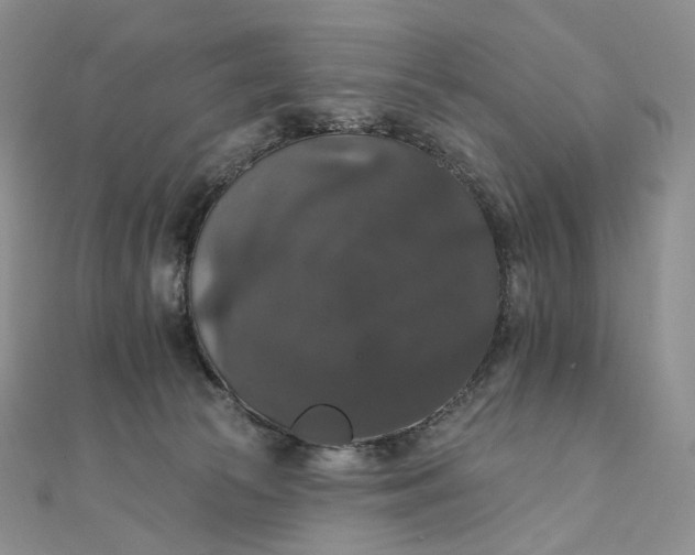 X0000111800177200908061206