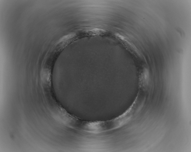 X0000111800178200908061206