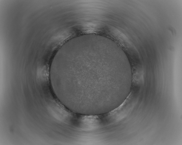 X0000111800179200908061206