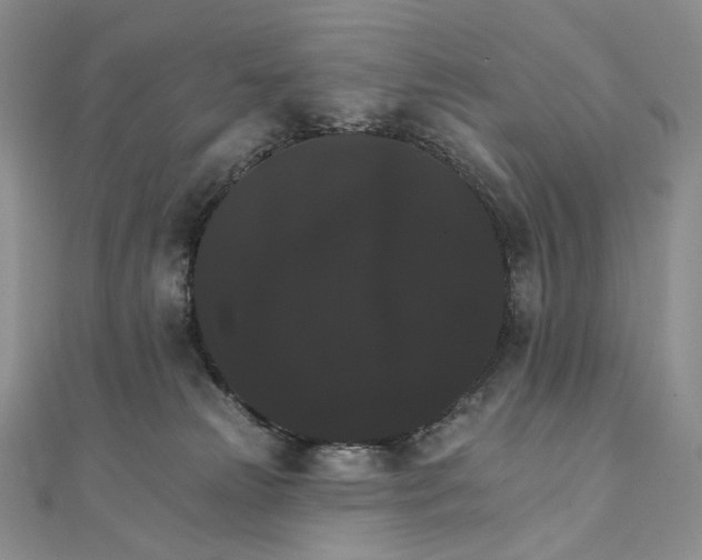 X0000111800181200908061206