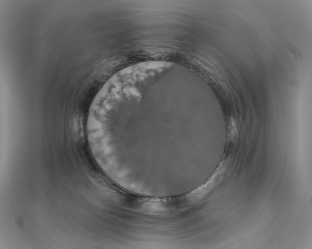 X0000111800182200908061206
