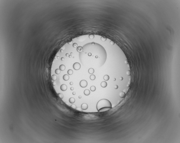 X0000111800183200908061206