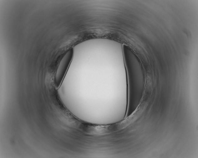 X0000111800184200908061206