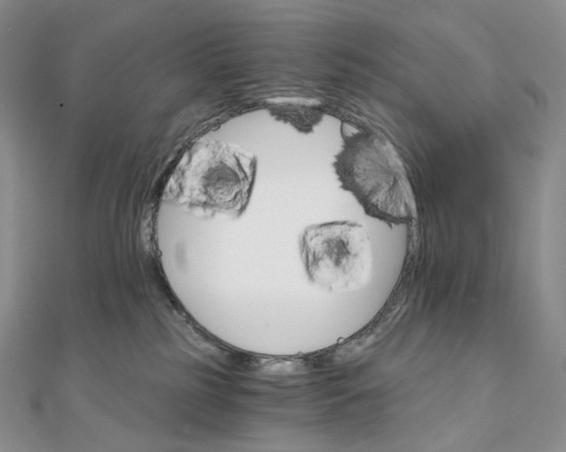 X0000111800185200908061206