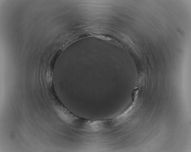 X0000111800186200908061206