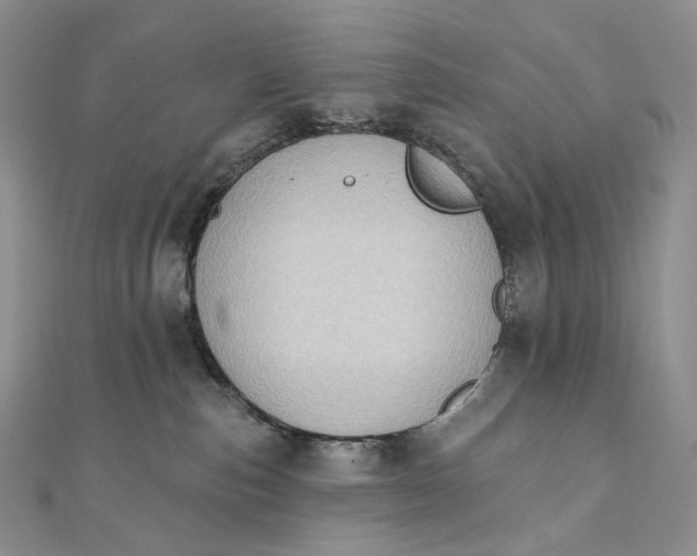 X0000111800187200908061206