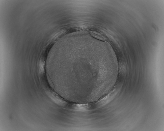 X0000111800188200908061206