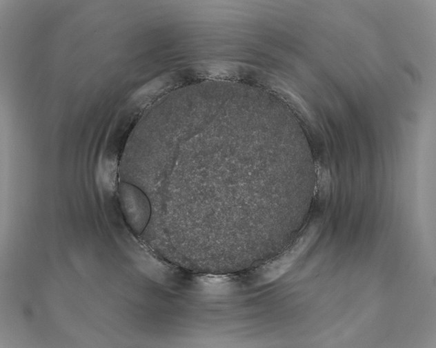 X0000111800189200908061206