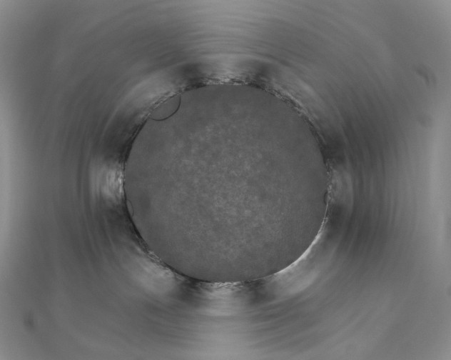 X0000111800191200908061206
