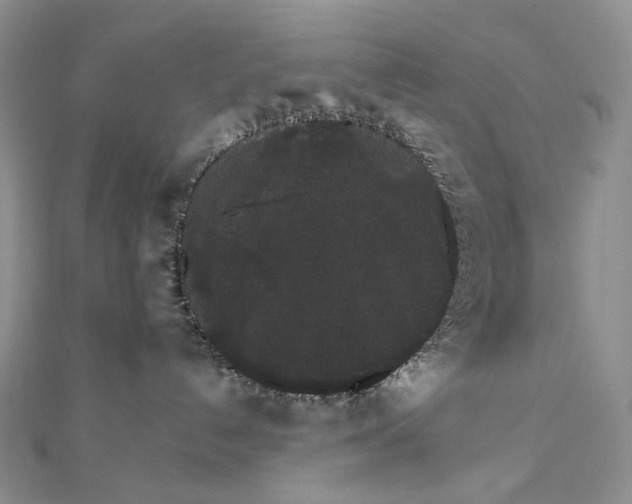 X0000111800192200908061206