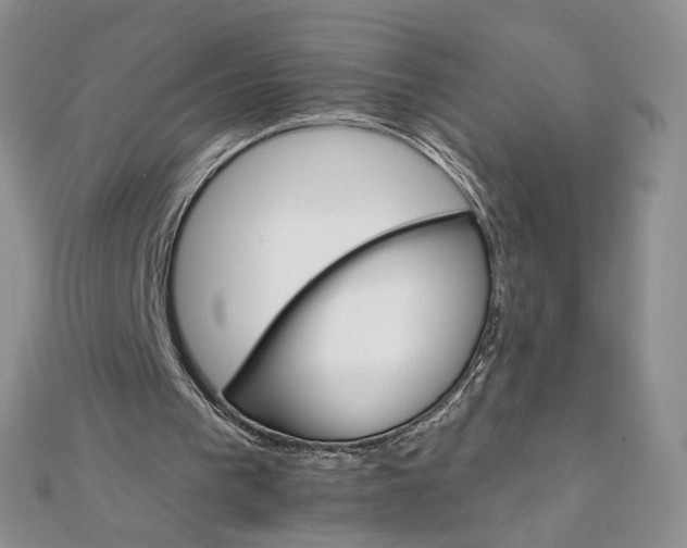X0000111800193200908061205