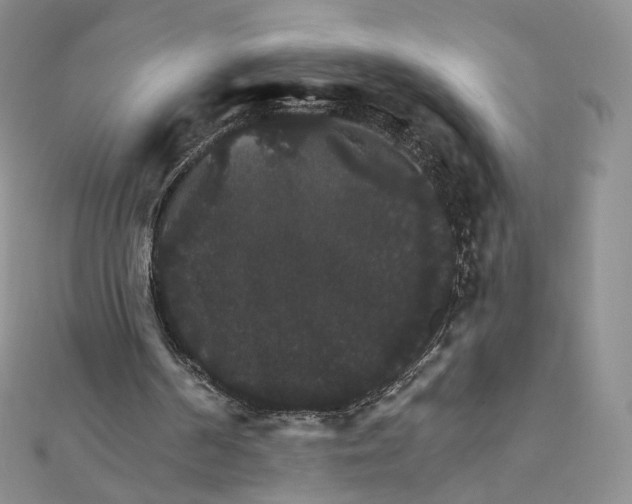 X0000111800194200908061205