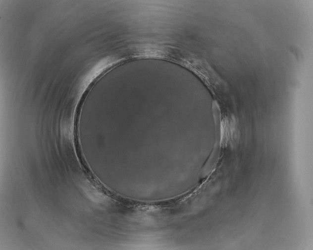 X0000111800195200908061205