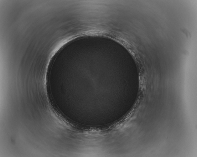 X0000111800196200908061205