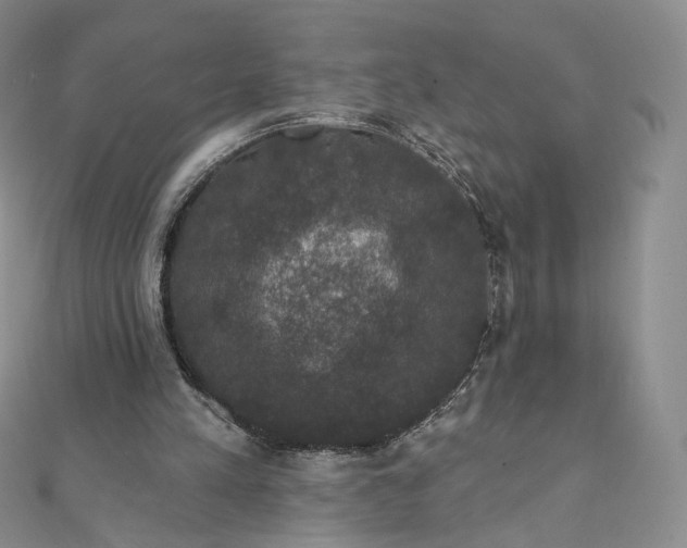 X0000111800197200908061205