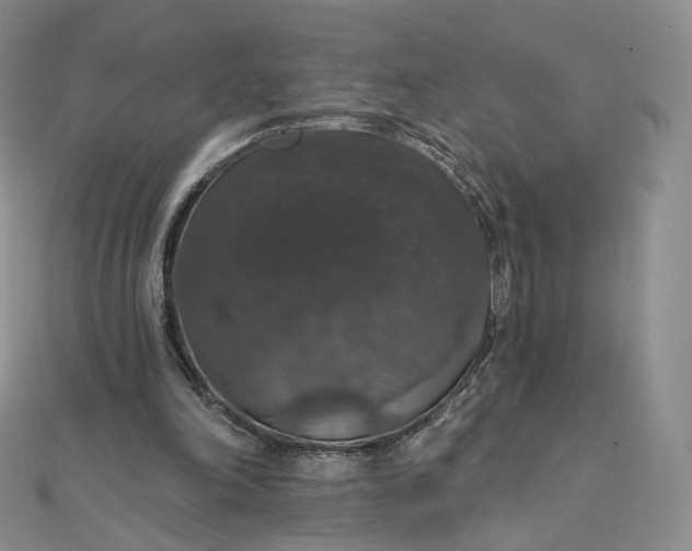 X0000111800198200908061205