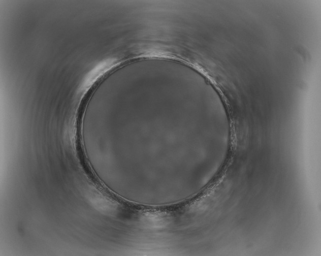 X0000111800199200908061205