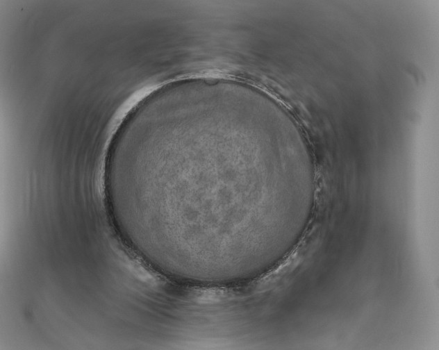 X0000111800200200908061205