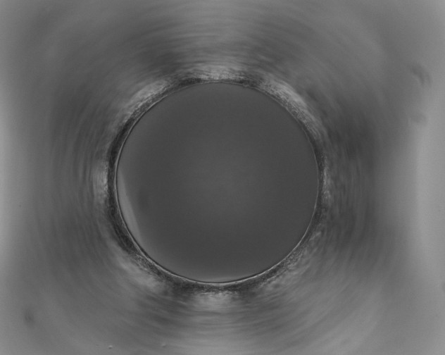 X0000111800202200908061205