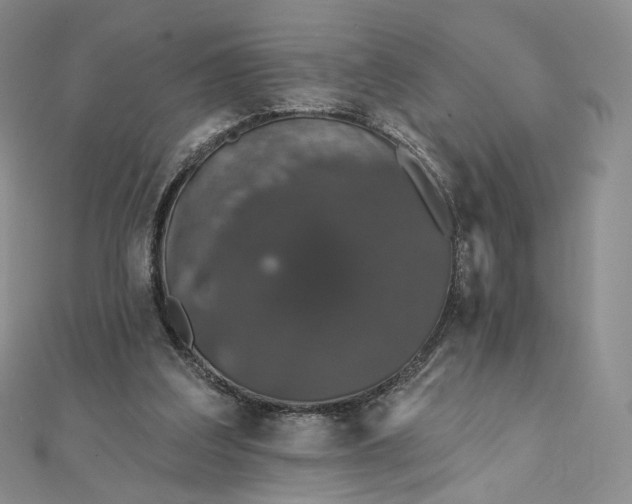 X0000111800203200908061205