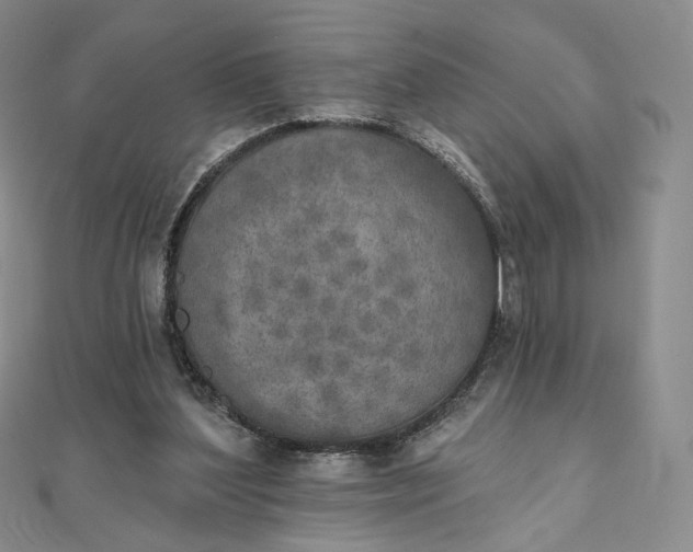 X0000111800204200908061205