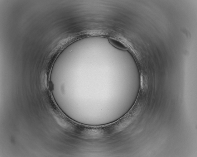 X0000111800205200908061205