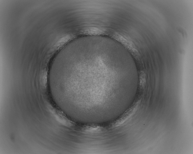 X0000111800206200908061205