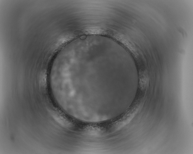 X0000111800207200908061205