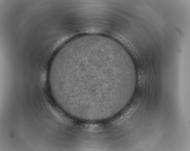 X0000111800208200908061205