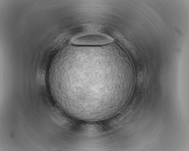 X0000111800209200908061205