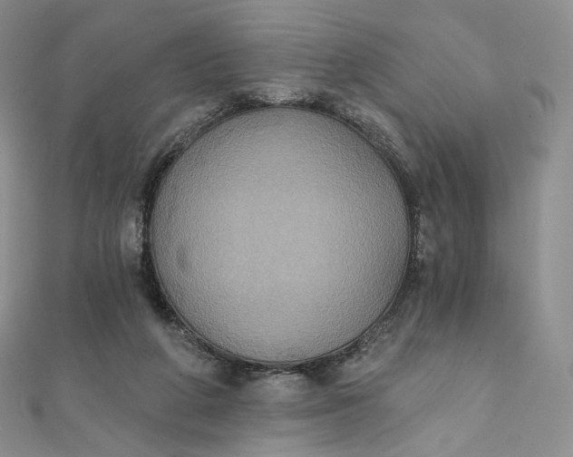 X0000111800210200908061205