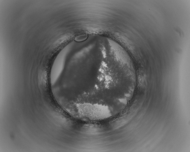 X0000111800211200908061205