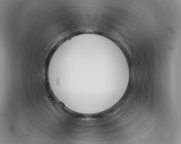 X0000111800212200908061205