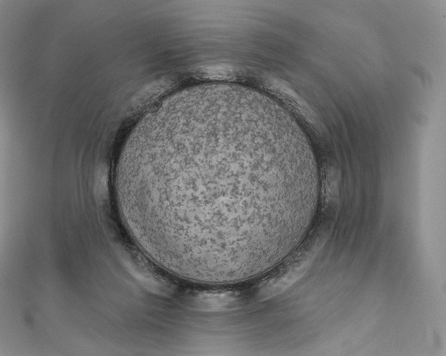 X0000111800213200908061205