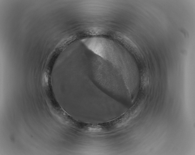 X0000111800214200908061205