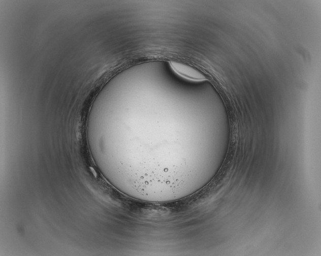 X0000111800215200908061205