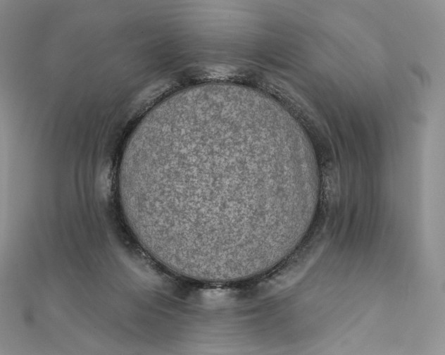 X0000111800216200908061205