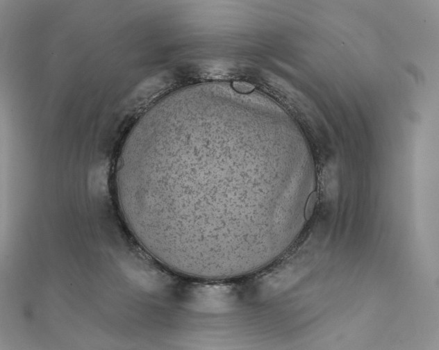 X0000111800217200908061205