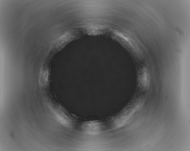 X0000111800219200908061205