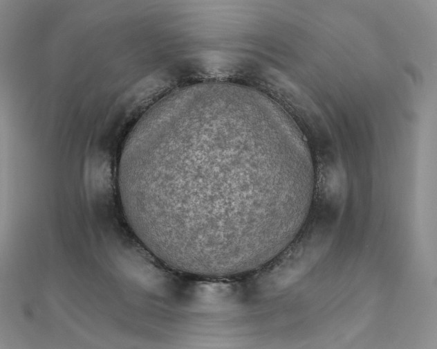 X0000111800220200908061205