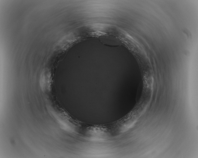 X0000111800223200908061205