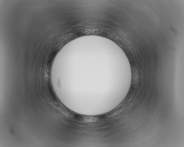 X0000111800226200908061205